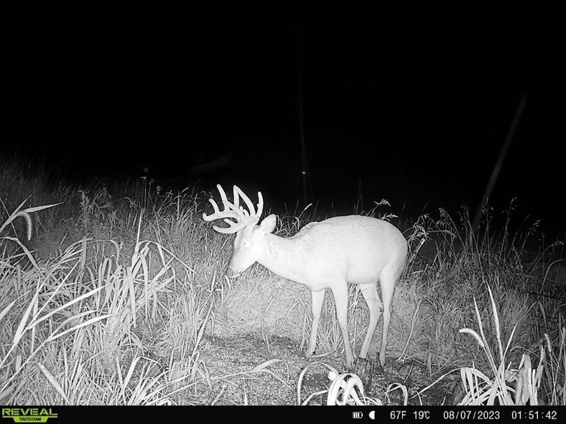 48DFBBE3-7F6F-4D41-A12A-072B43D40D71