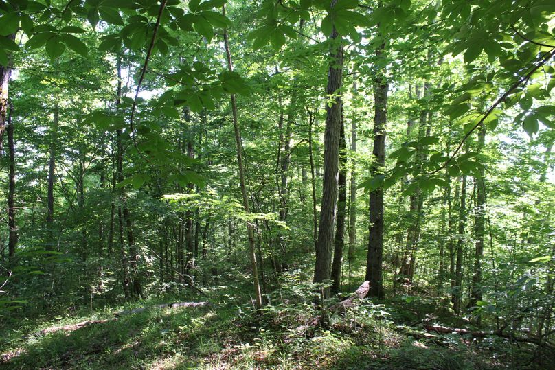 015 secondary point leading north off the south ridge