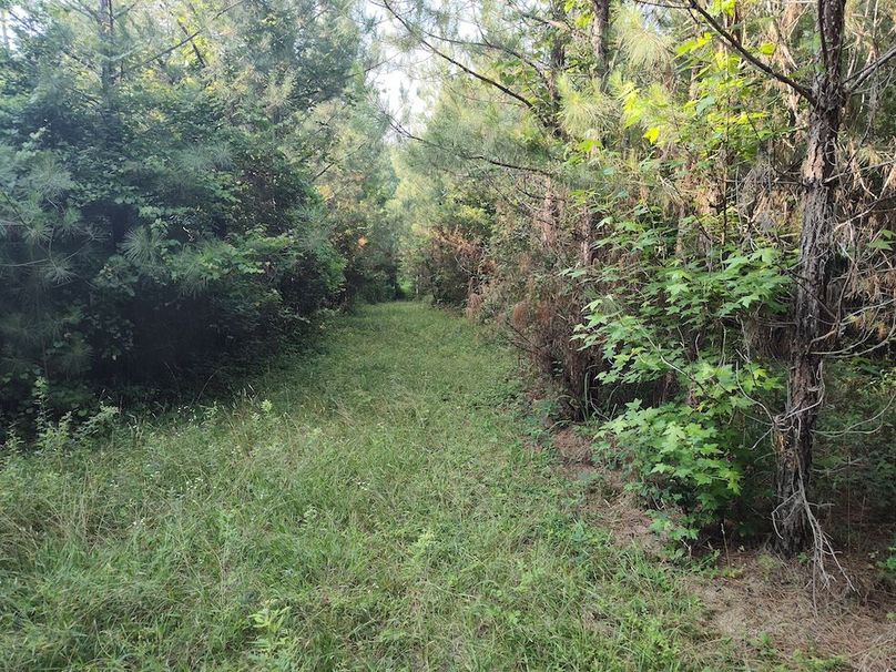 IMG_20250611_181132977