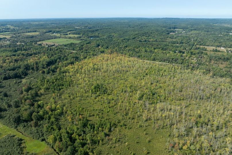 dji_fly_20240824_104914_178_1725553235945_photo 3