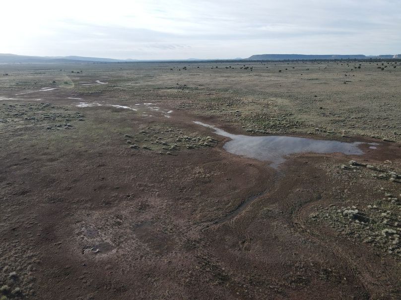 dji_fly_20240504_072706_307_1714829338027_photo