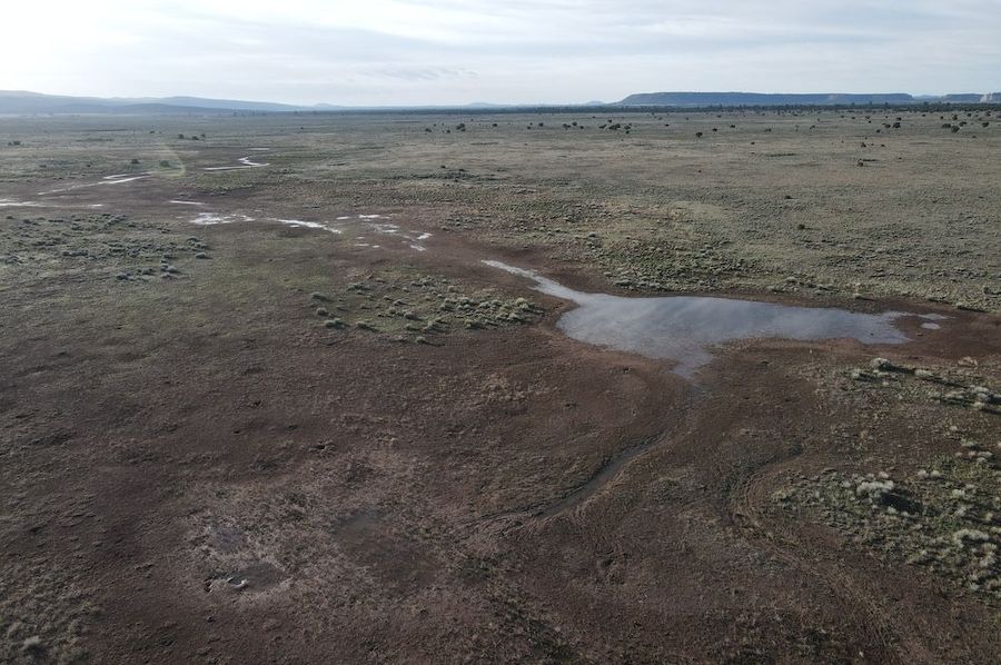 dji_fly_20240504_072706_307_1714829338027_photo