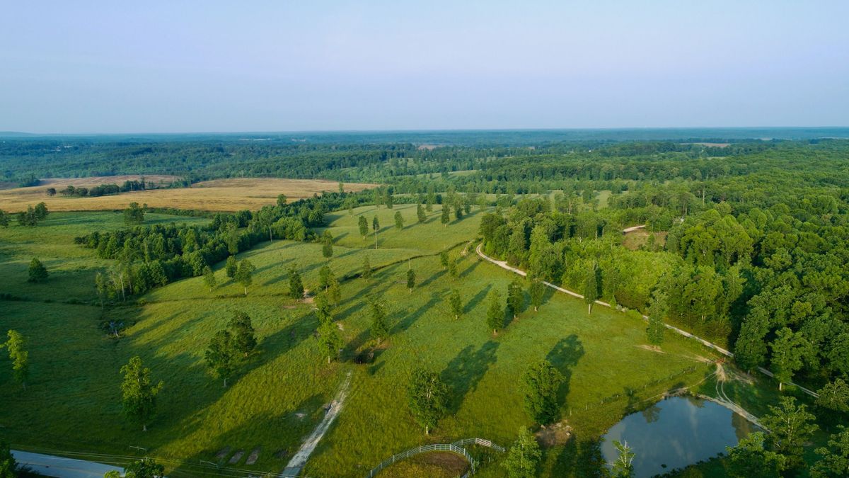 Large Contiguous Tract with a Creek And Fenced for Cattle | Whitetail ...