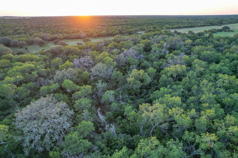 DJI_0966