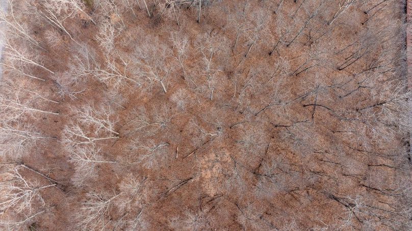 DJI_20260223083819_0009_D