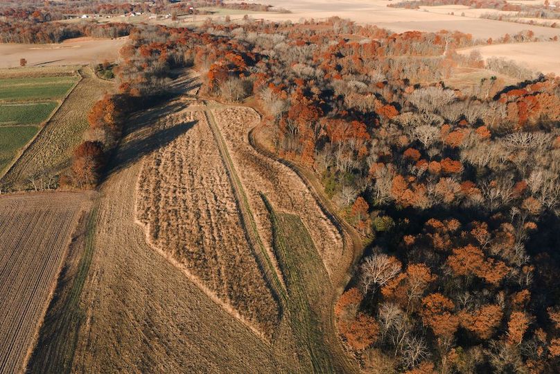 DJI_20251116075407_0038_D