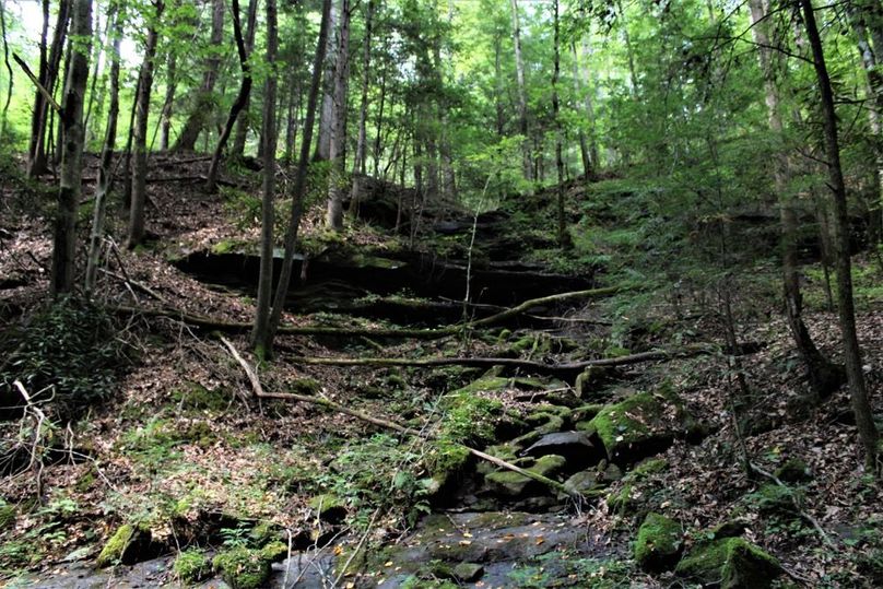 008 some of the cool rock features along a south facing slope