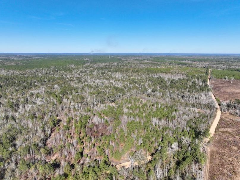 dji_fly_20251128_132928_19_1764354900896_photo