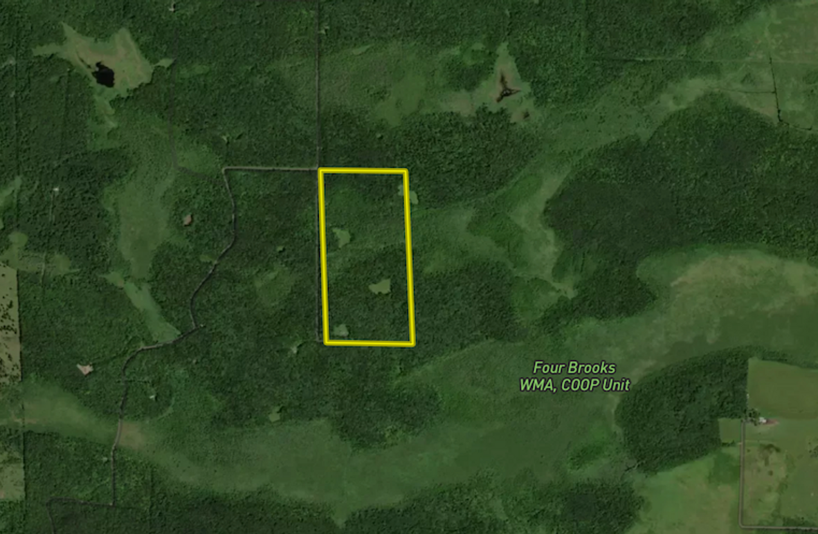 Screenshot 2025-05-20 at 6.22.16 AM