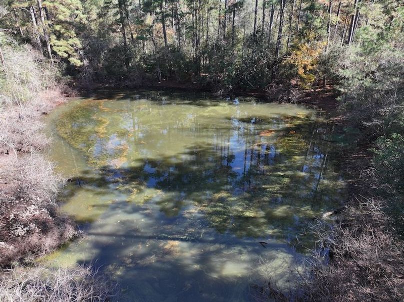 dji_fly_20251209_122614_0777_1765308494019_photo