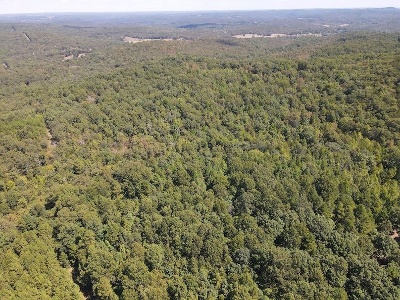 dji_fly_20250902_122524_774_1756833944801_photo