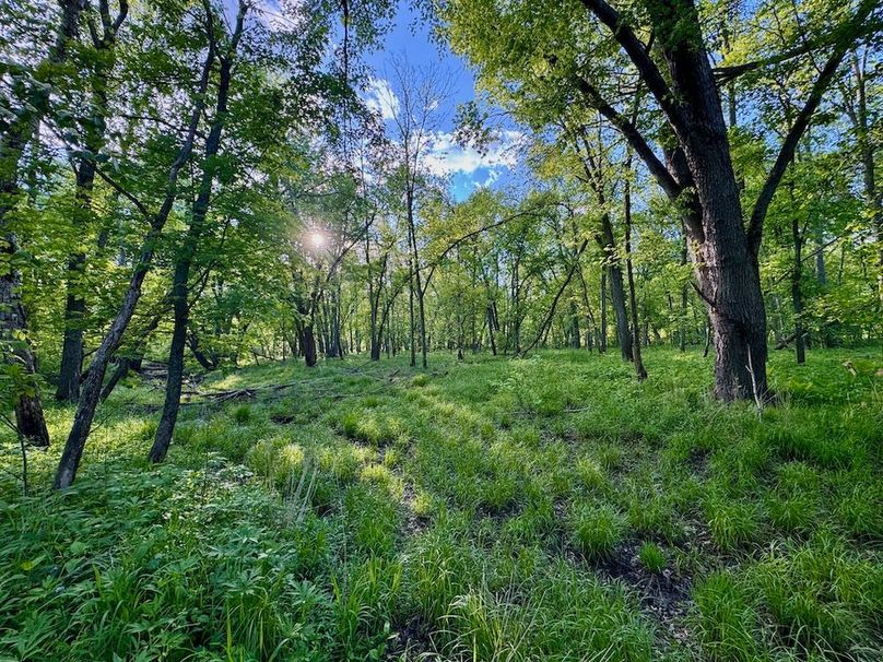 La Crosse 56.17 - 25