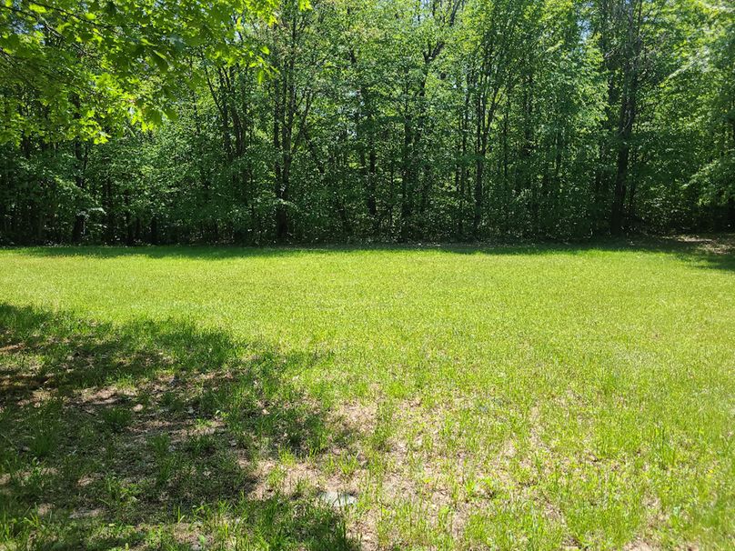 photo_c5f99942-2900-468f-ade0-0b5d37d728b0