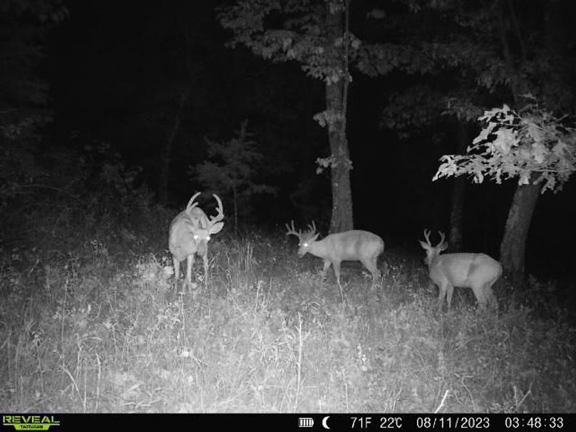 3438ca0b-c19a-41a0-ad94-846564e86091