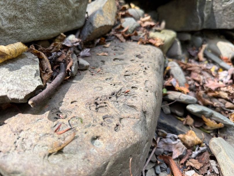 Tioga_30_Flanner Photo 20