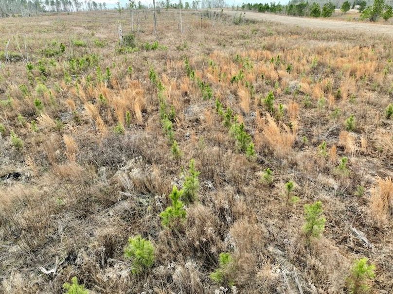 dji_fly_20260211_114022_295_1770828250095_photo