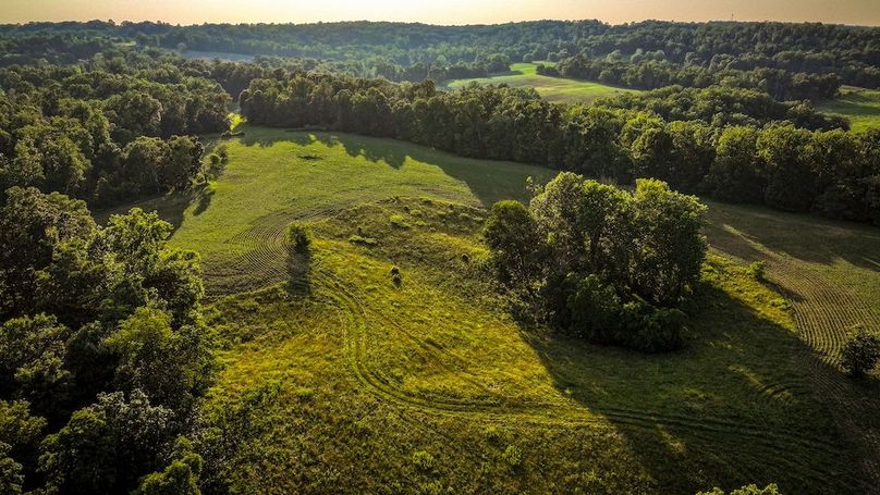 dji_fly_20250705_195054_0414_1751759920441_photo