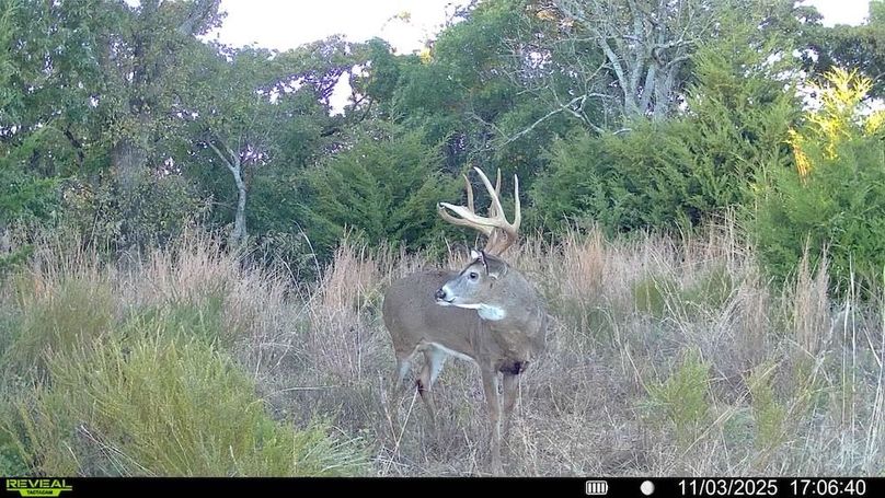 016578004545254-100-4-11032025170640-SYFW15082