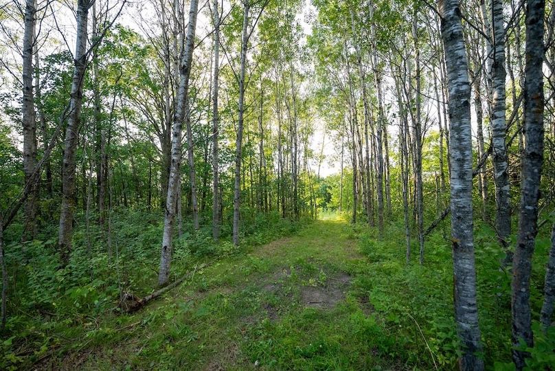 Cass MN 1095 Featured ProPhoto-12