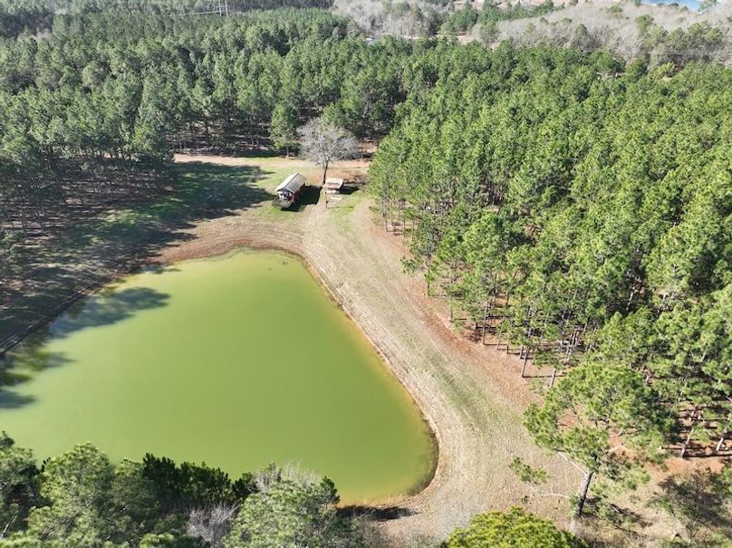 dji_fly_20240207_103224_28_1707320836822_photo