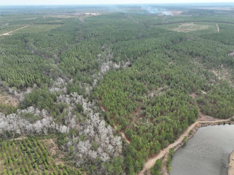 dji_fly_20260211_133128_310_1770835094676_photo