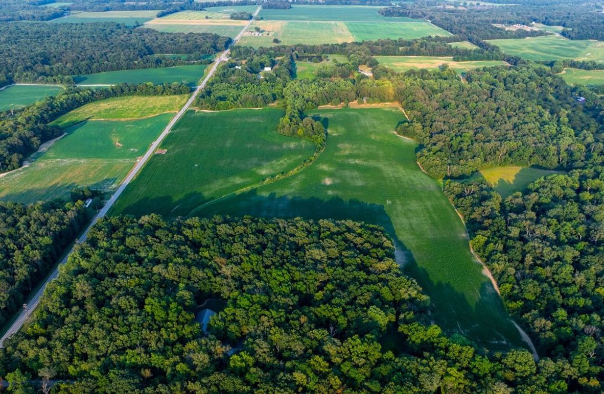 Copy of DJI_20250806055503_0049_D Large