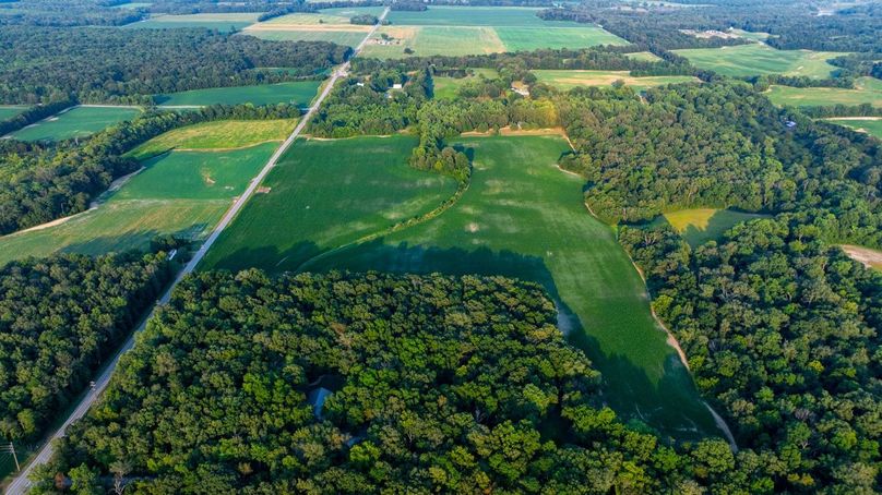 Copy of DJI_20250806055503_0049_D Large