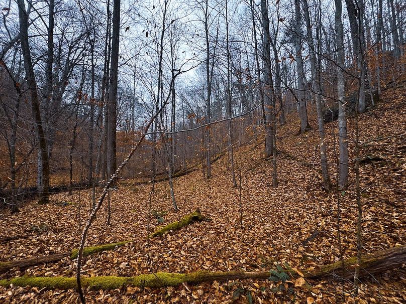 Ritchie, WV 100 AC Harper-45