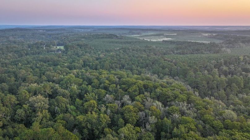 DJI_20250918070342_0014_D