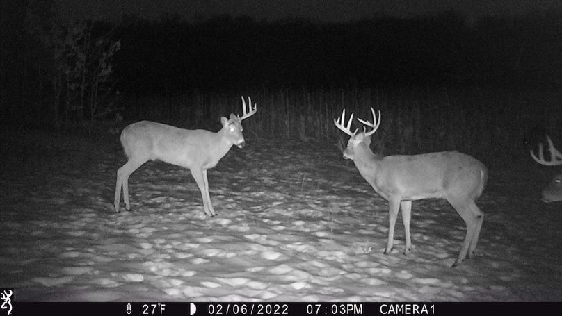 Sauk 174 Trailcam - 44
