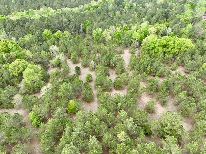 dji_fly_20260330_151750_442_1774898606125_photo