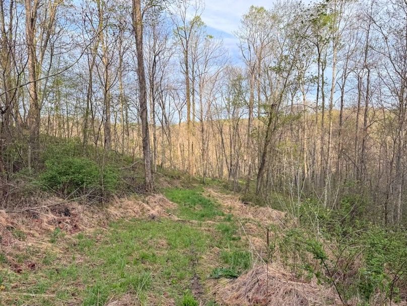 Screenshot 2026-04-21 at 11.36.56 AM