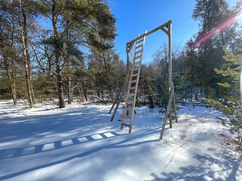 Adams 25, Nessler -71