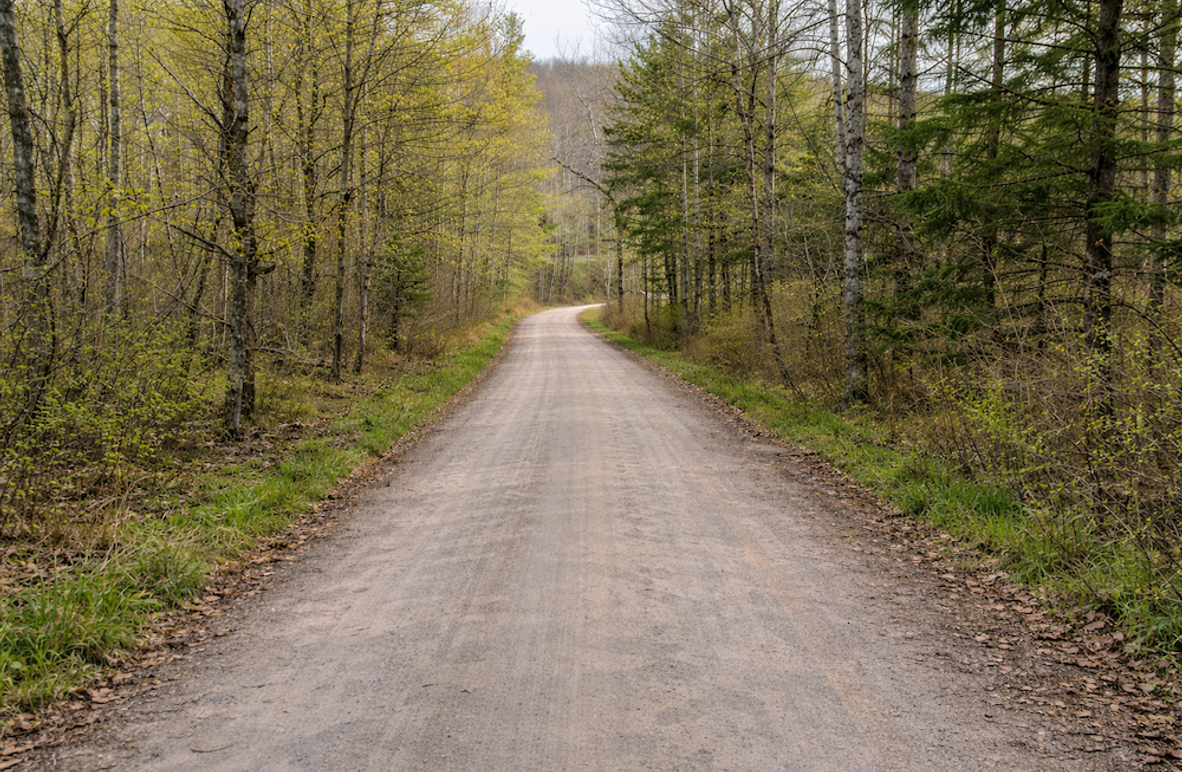 ChatGPT Image Apr 1, 2026, 10_10_22 AM - Copy