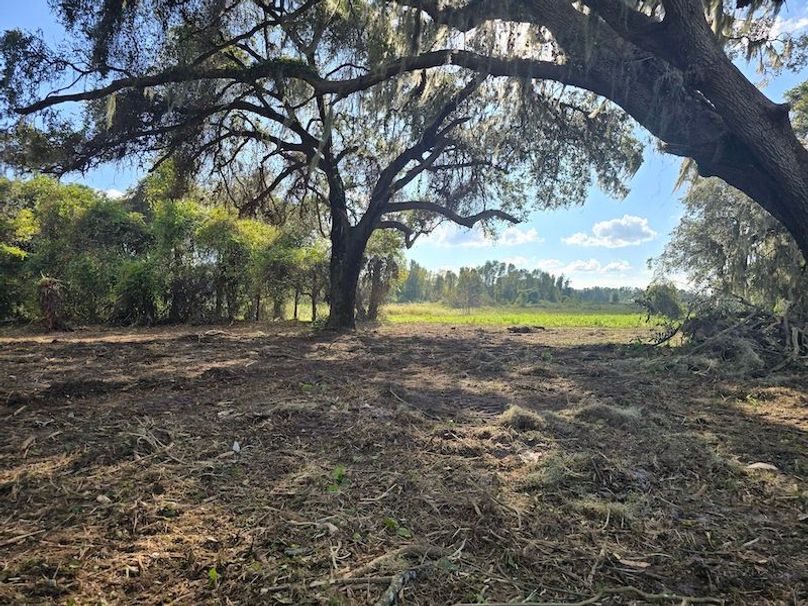 21ac, Sumter, Reelvest09