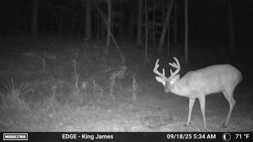 image638937836457020830