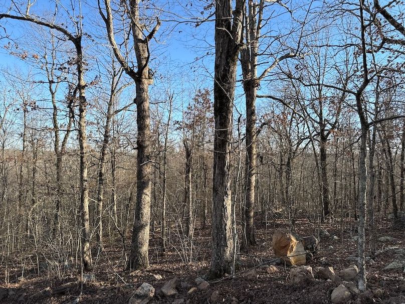 DJI_20260113_152825_636