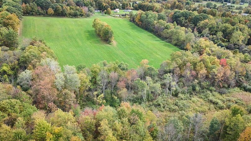 Cayuga_55.02_Herman Photo 44