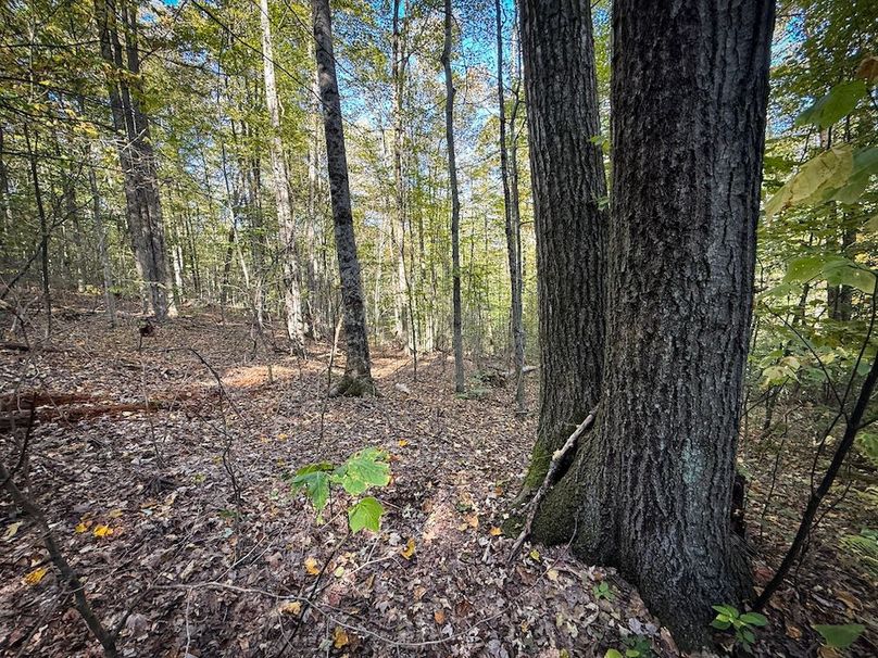 Tompkins NY 87 Allen Photos 41