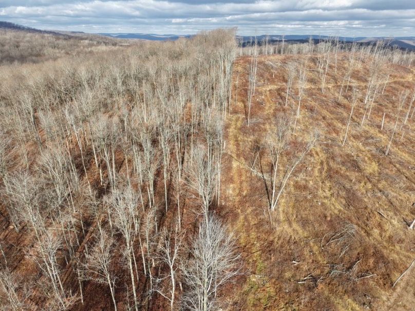 DJI_20251122114751_0045_D