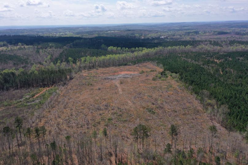 Copy of 400ftCardinal-7