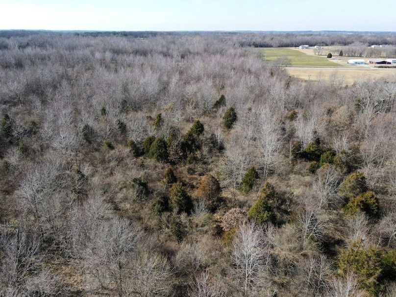 vandalia 450 (2)-1802