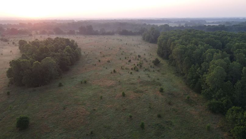 dji_fly_20230625_062126_982_1687692397045_photo