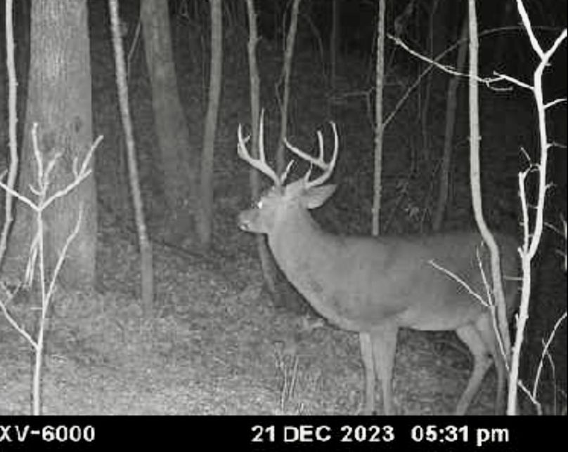 Screenshot_20231222_143545