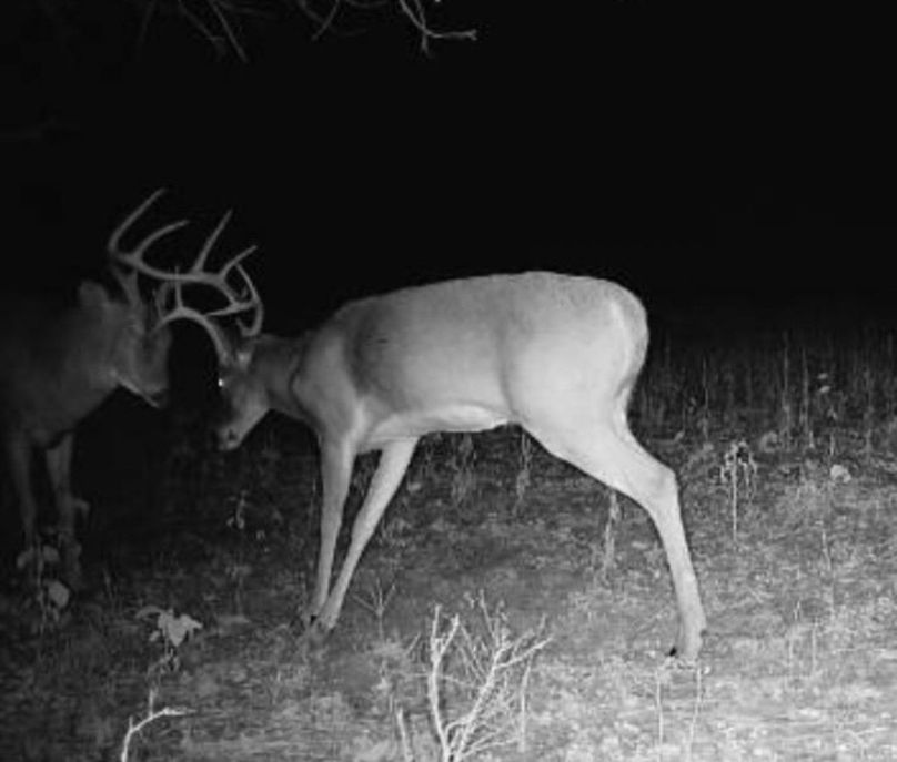 34A4CE0E-9721-4A5D-9602-CBBB9D7495F5_1_201_a