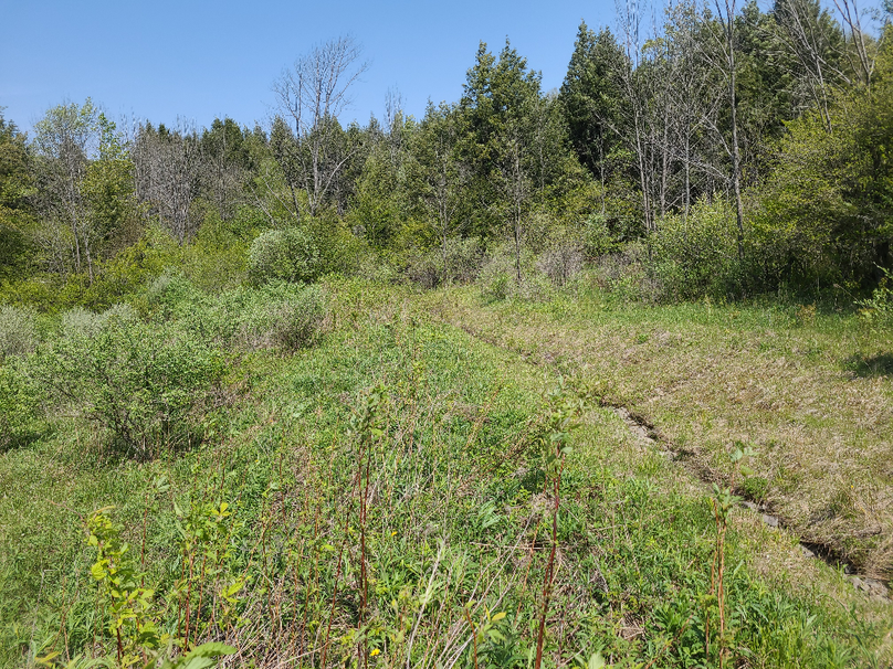 photo_0c1568f4-5520-4e86-aff0-6036086ab681