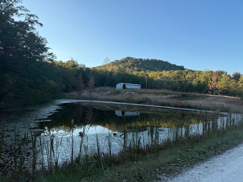 019 view of the north pond from the building area