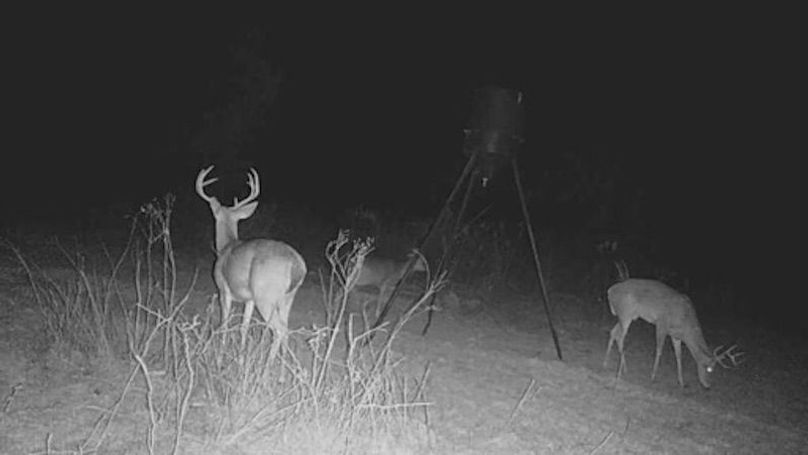 24012619275901003741