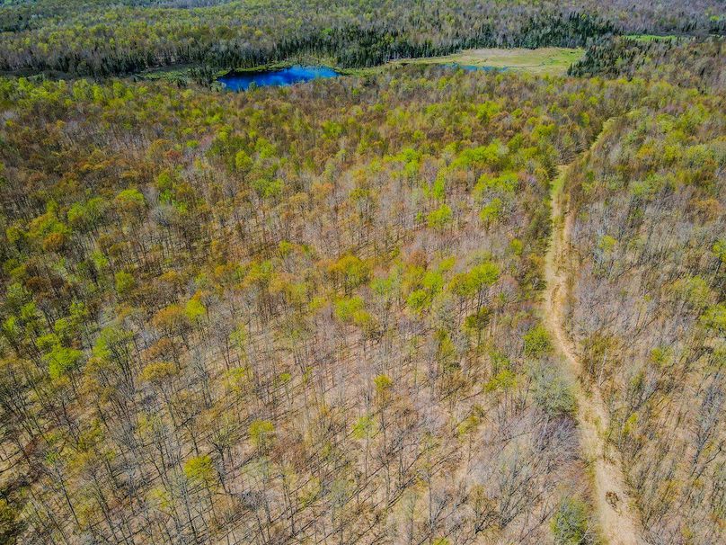 Franklin County NY 227 Bigtooth Propertties Drone Pictures 3