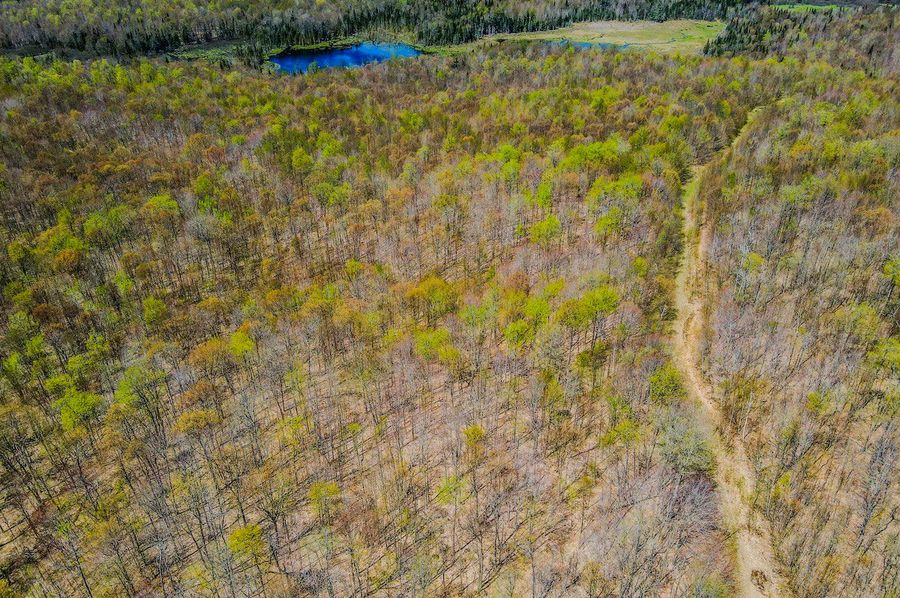 Franklin County NY 227 Bigtooth Propertties Drone Pictures 3